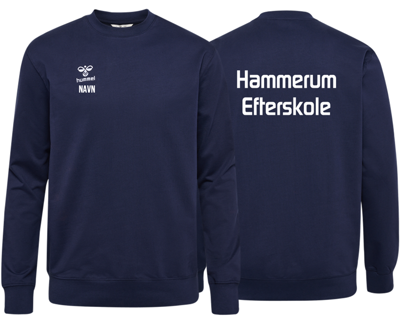 Hammerum Efterskole Skoletrøje 26/27