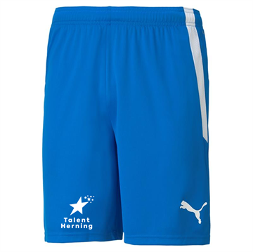Puma teamLIGA Shorts